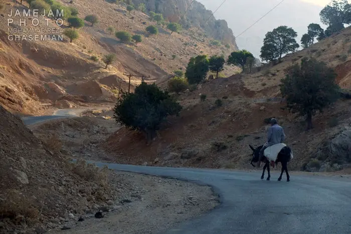 (تصاویر) وقتی یک قتل 500 خانواده را آواره کرد