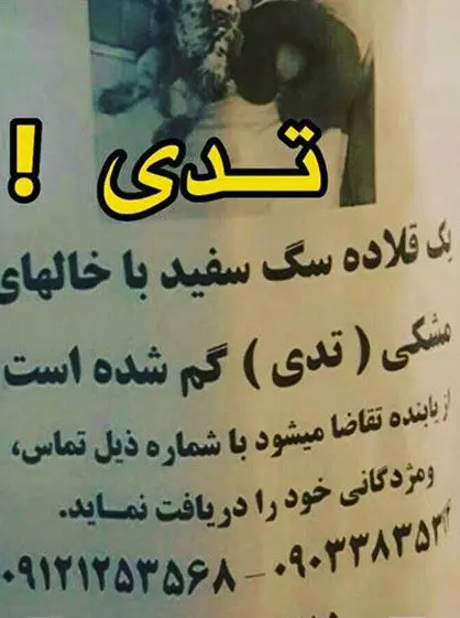 واکنش متفاوت ضرغامی به شایعات اخیر