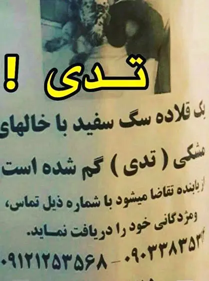 واکنش متفاوت ضرغامی به شایعات اخیر