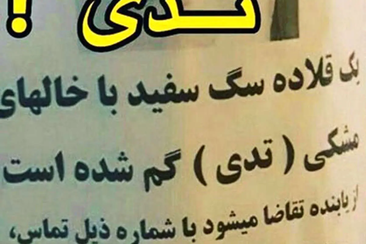 واکنش متفاوت ضرغامی به شایعات اخیر