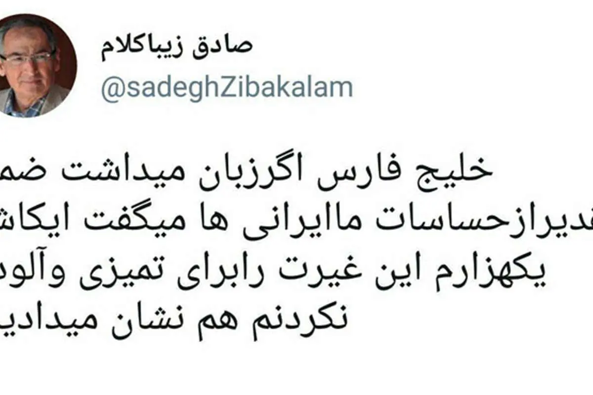 واکنش زیباکلام به حمایتها از خلیج فارس