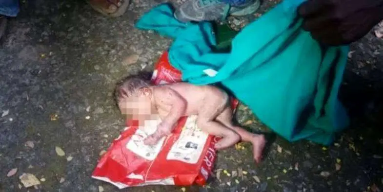 (تصاویر) مورچهها نوزاد دختر را زنده زنده خوردند