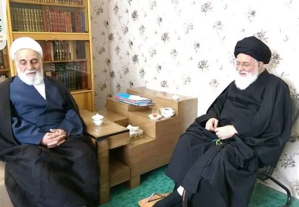 معنای دیدارهای "ناطق‌نوری"