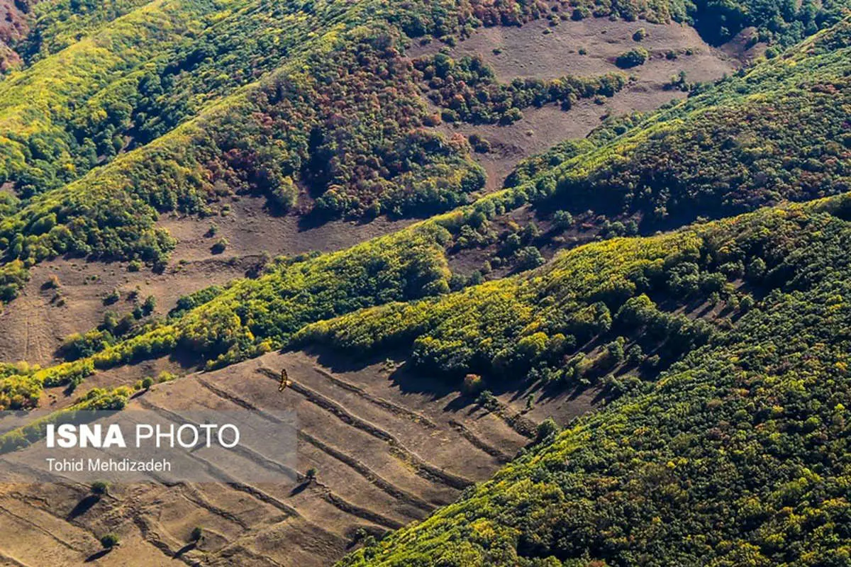 (تصاویر) طبیعت چشمنواز روستای "کرینگان"