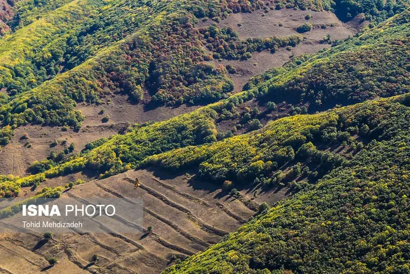 (تصاویر) طبیعت چشم‌نواز روستای "کرینگان"