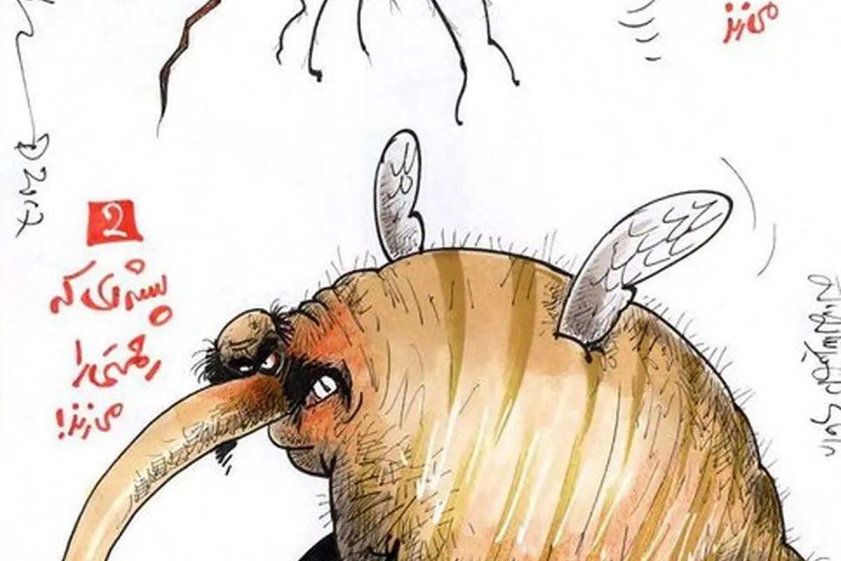 پشهای که مهدی رحمتی را زد!