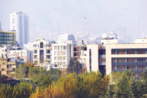 رونق کاذب مسکن