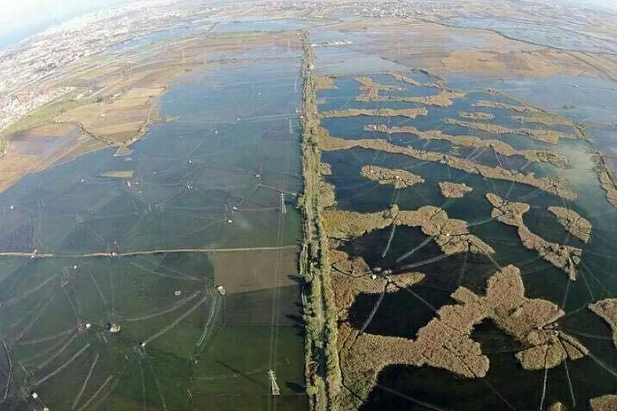 ورود دادستانی به پرونده نسلکشی پرندگان مهاجر