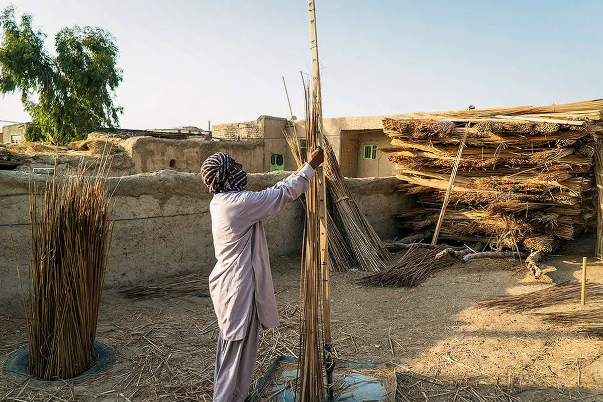 (تصاویر) حصیربافی در سیستان و بلوچستان
