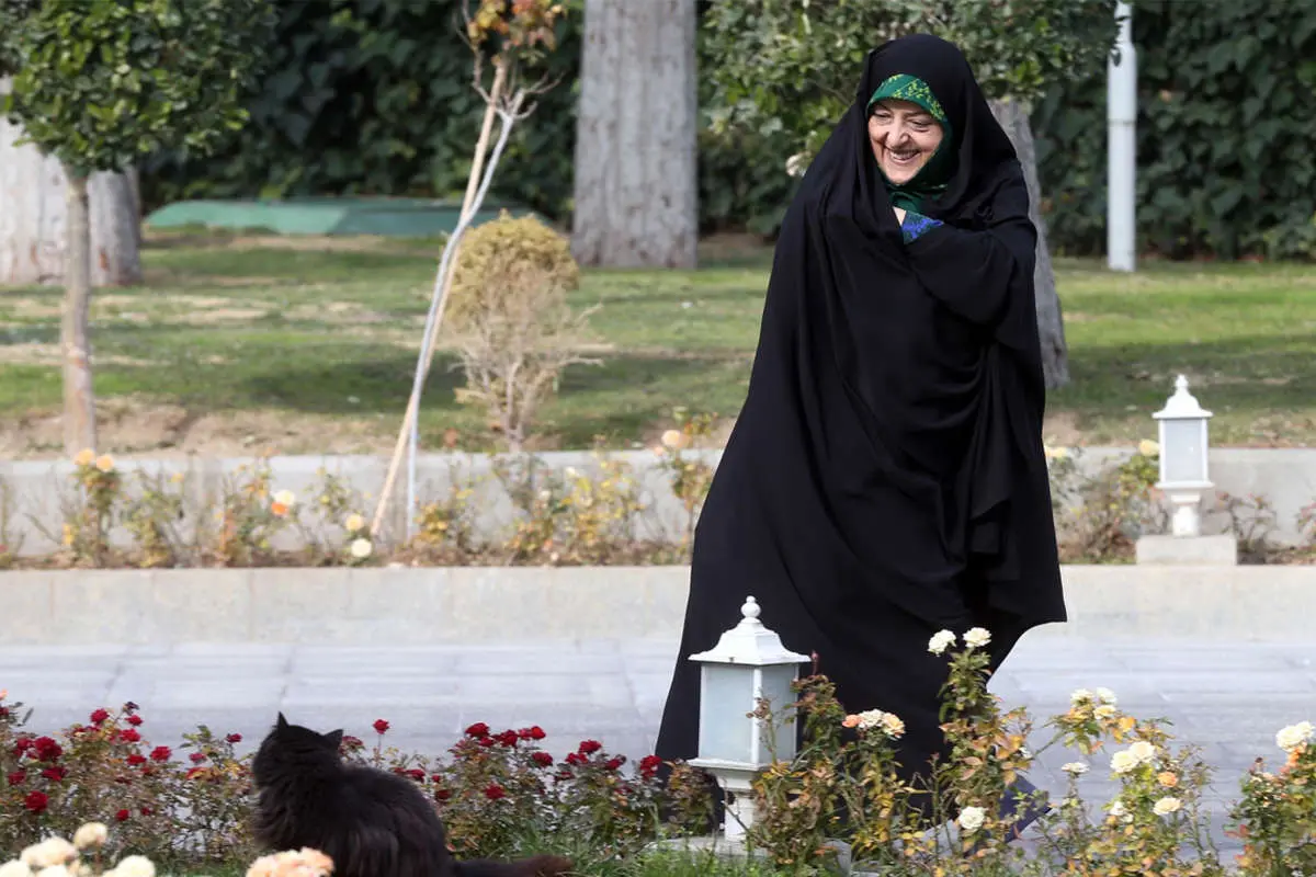 (تصاویر) حواشی جلسه هیات دولت 29 آذر 1396
