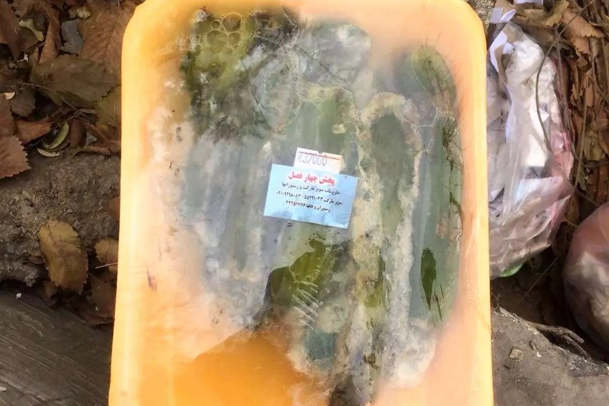۶۳۷۰۰ تومان در یک کیسه زباله در تهران