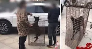 انتشار یک ویدئوی جنجالی در چین