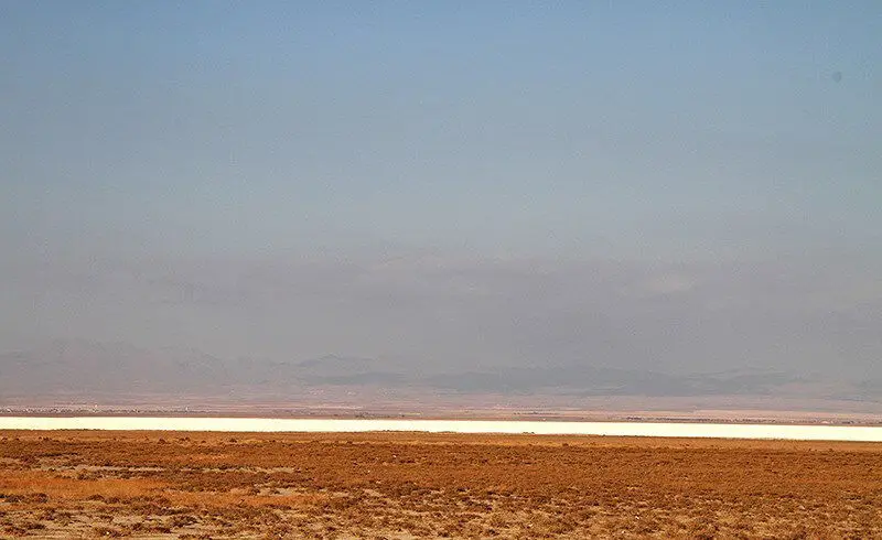 (تصاویر) تالاب میقان پس از حریق زمستانی