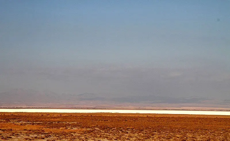 (تصاویر) تالاب میقان پس از حریق زمستانی