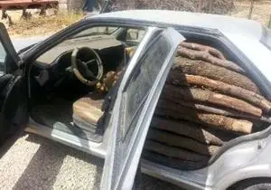 کشف یک تن و ۵۰۰ کیلوگرم چوب جنگلی قاچاق