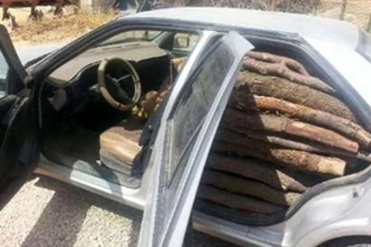 کشف یک تن و ۵۰۰ کیلوگرم چوب جنگلی قاچاق