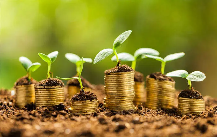 پیداوپنهان اخذ وام‌های کلان توسط دولت