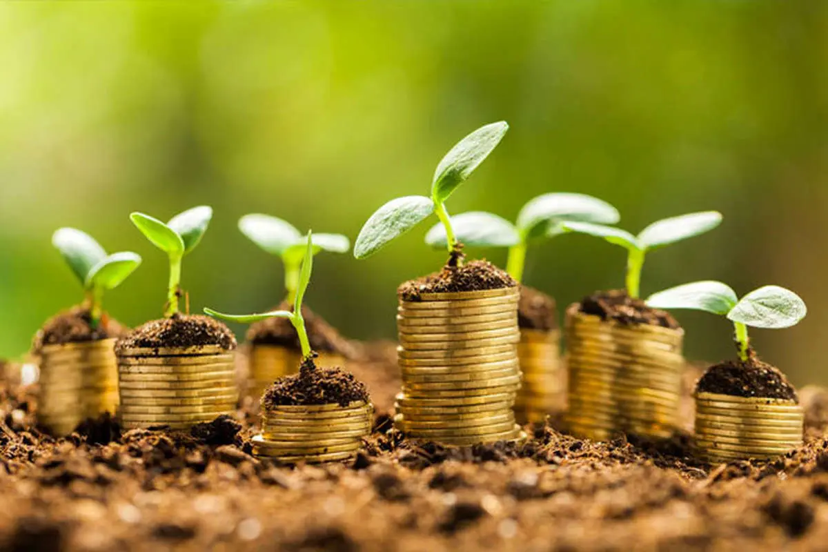 پیداوپنهان اخذ وامهای کلان توسط دولت