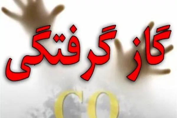 ۲۳ دانش آموز در چناران دچار گاز گرفتگی شدند
