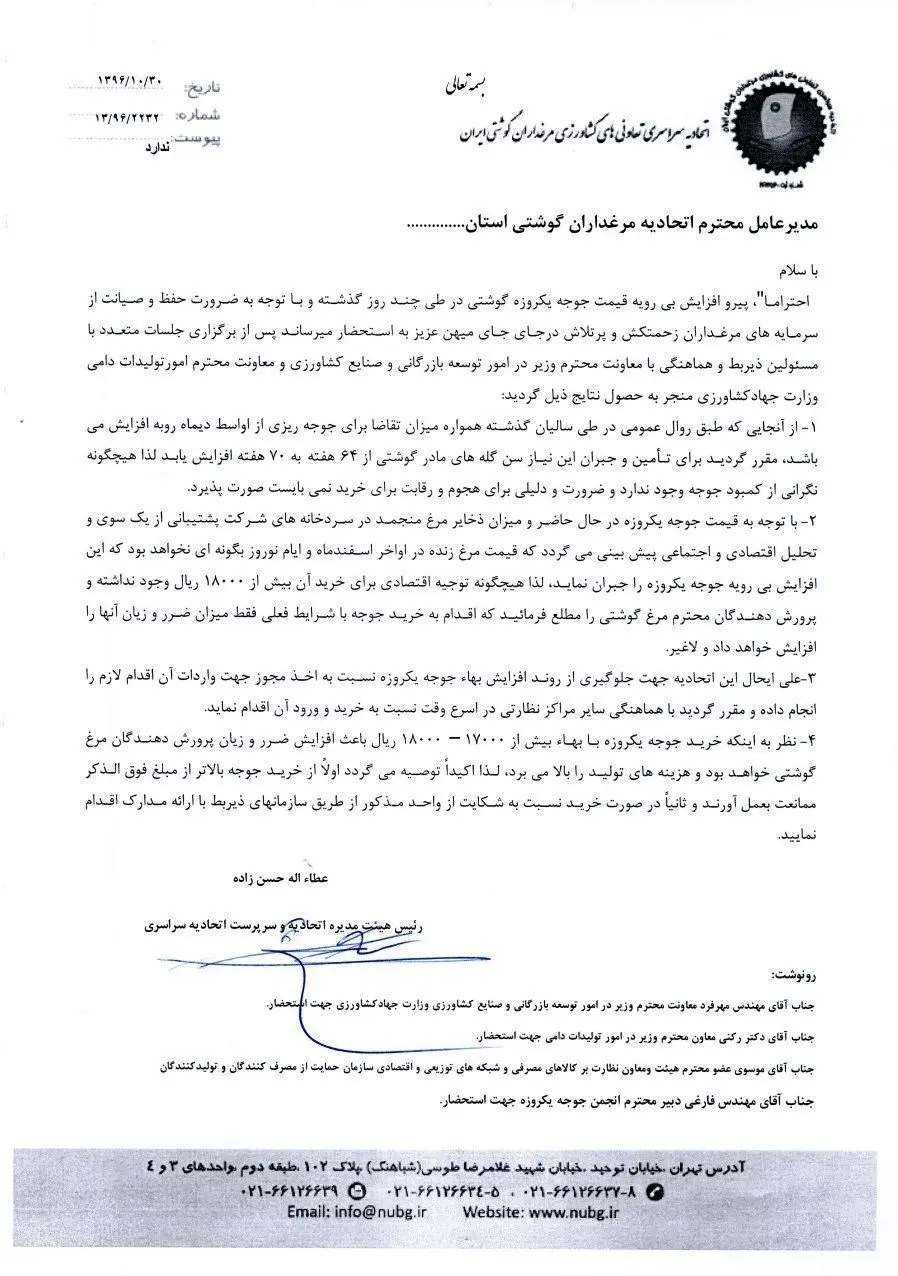واردات جوجه خارجی برای تنظیم بازار