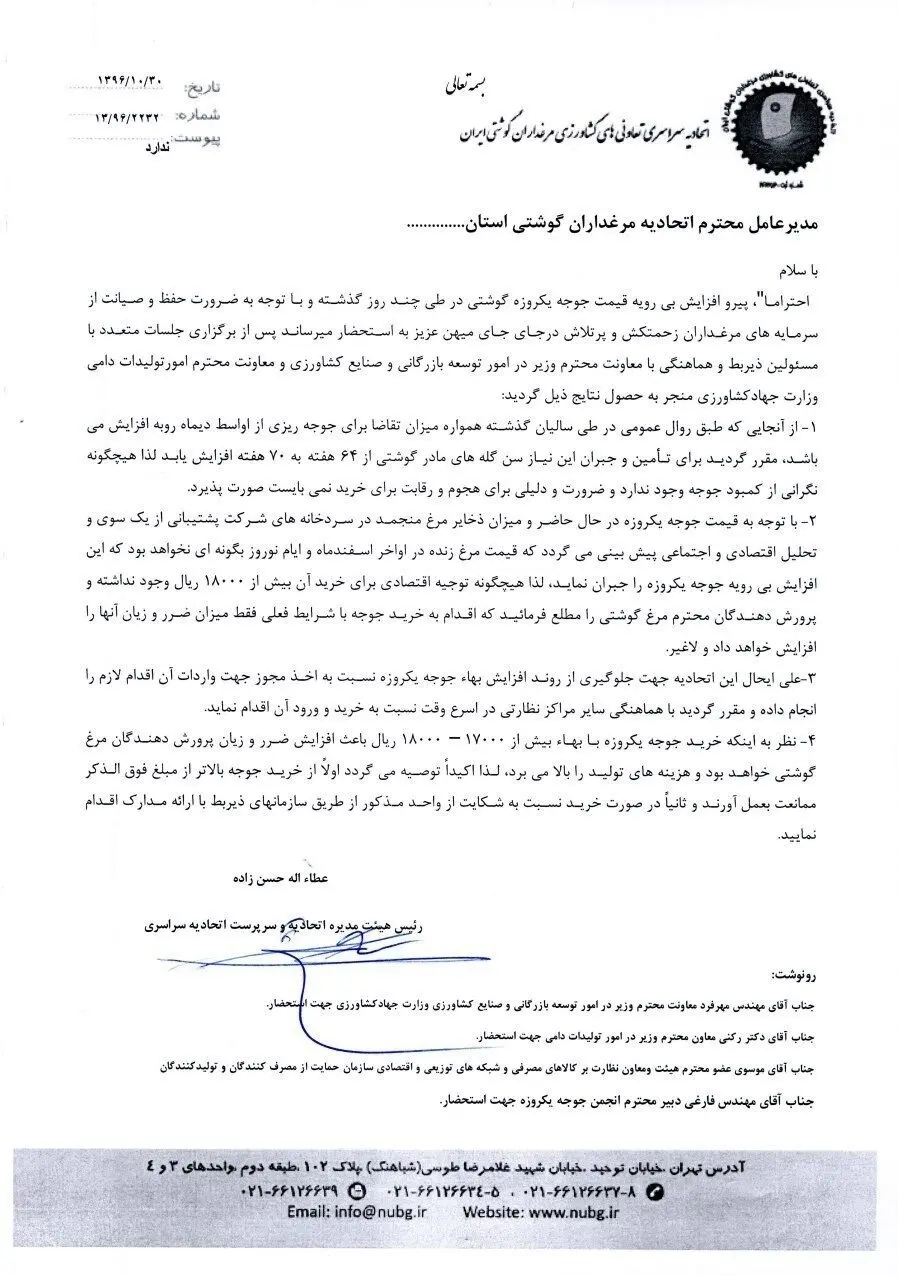 واردات جوجه خارجی برای تنظیم بازار