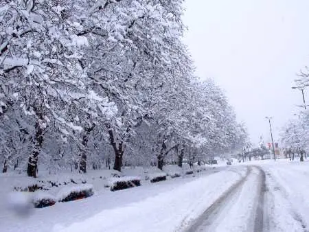 ماندگاری هوای سرد تا چهارشنبه