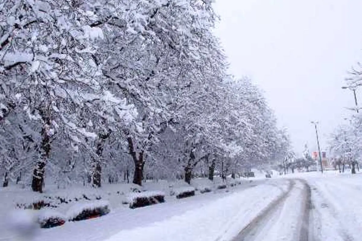 ماندگاری هوای سرد تا چهارشنبه