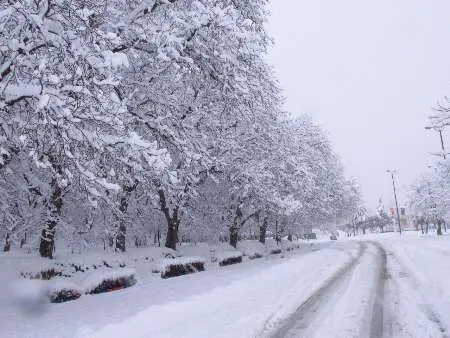 ماندگاری هوای سرد تا چهارشنبه