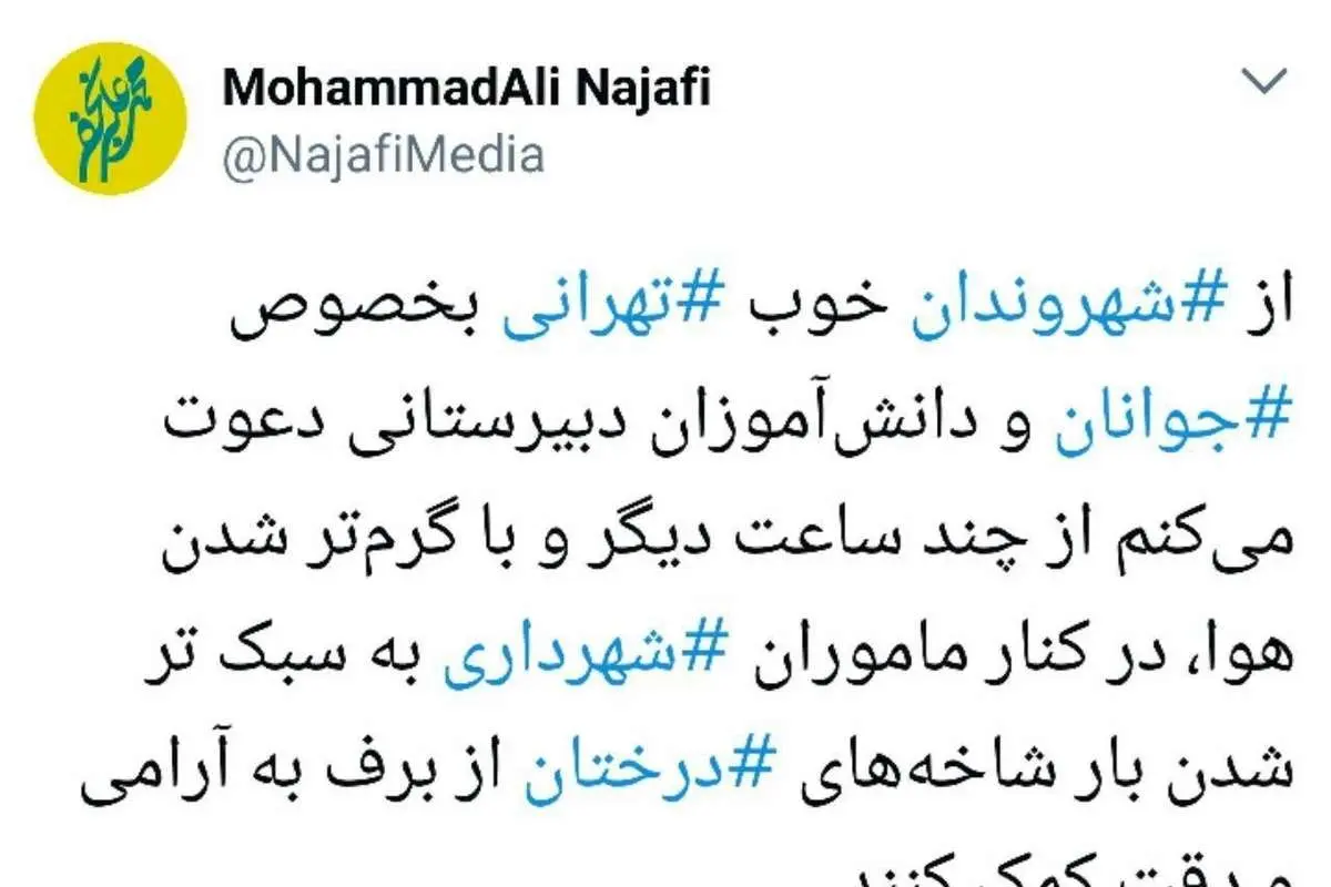دعوت نجفی از جوانان برای کمک به شهرداری