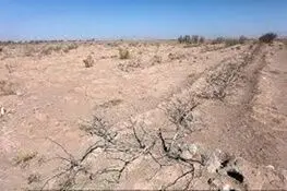 خشکسالی شهرکرد رکورد ۶۰ ساله را شکست