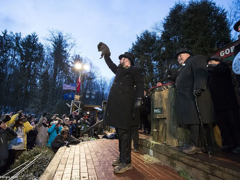 (تصاویر) پیش‌بینی آب و هوا با موش‌خرما!