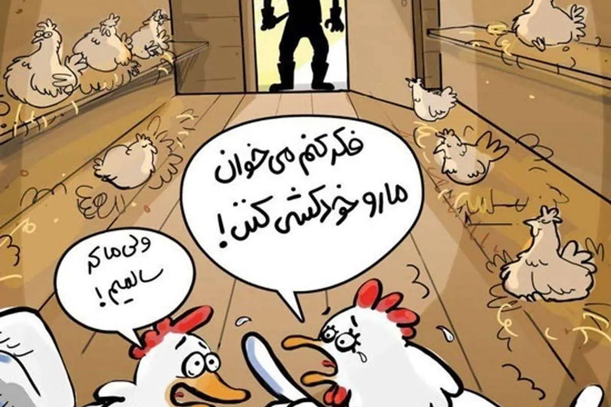 میخوان مارو خودکشی کنن!