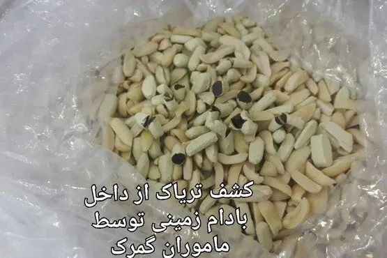 کشف بادام زمینی با طعم تریاک