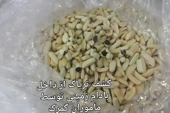 کشف بادام زمینی با طعم تریاک