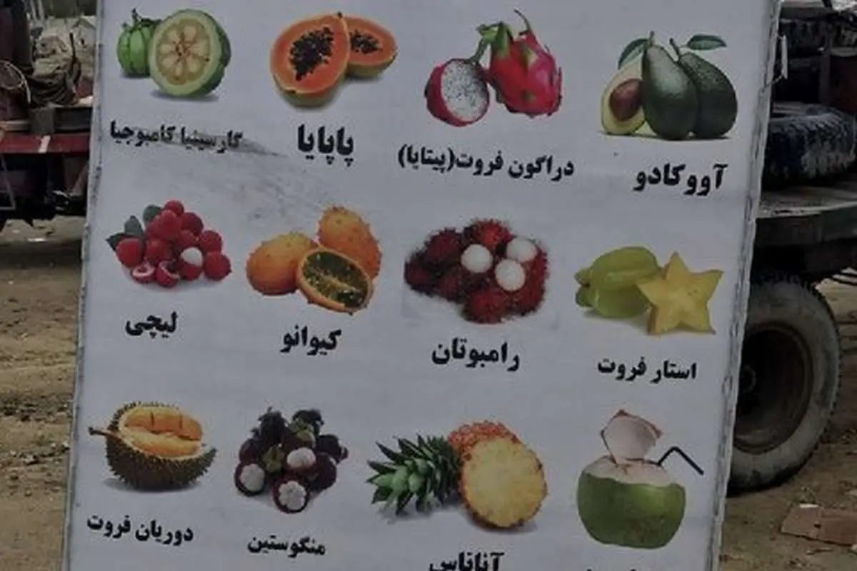 نرخ نجومی میوه خارجی در مناطق آزاد