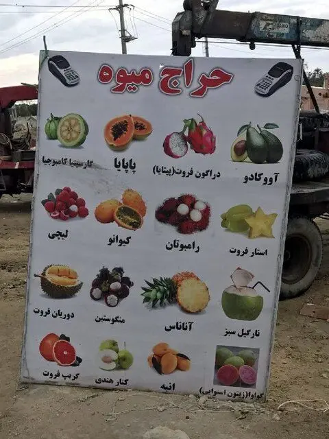 نرخ نجومی میوه خارجی در مناطق آزاد