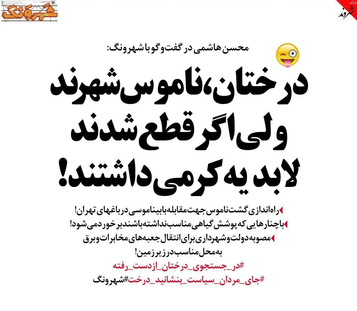 گشت ناموس در تهران راه‌اندزی می‌شود!