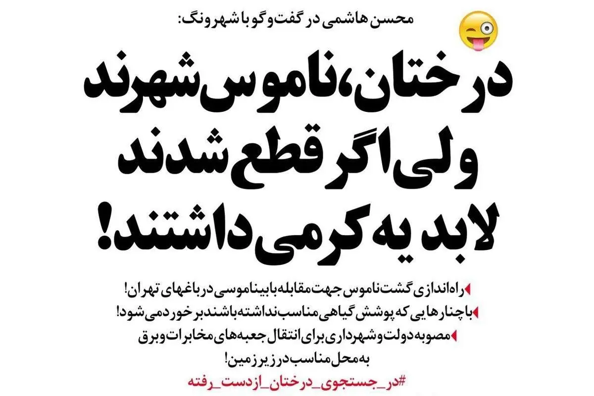گشت ناموس در تهران راهاندزی میشود!