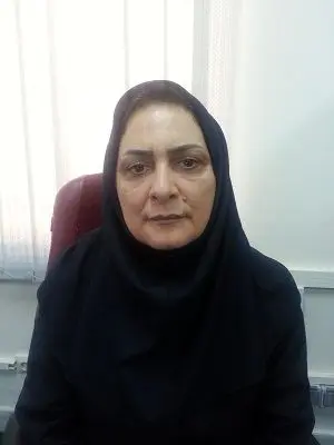 ایراد تیم‌اقتصادی دولت کجاست؟