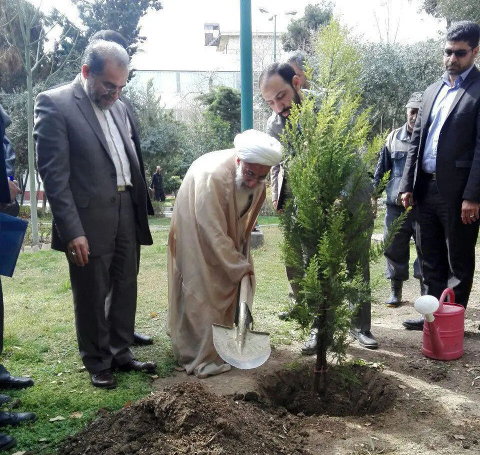 (عکس) آیت‌الله جنتی یک اصله نهال غرس کرد