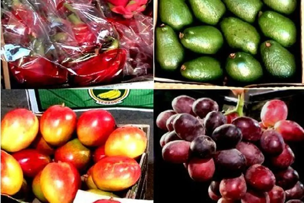 میوههای ممنوعه، مهمان ناخوانده واردات رسمی!