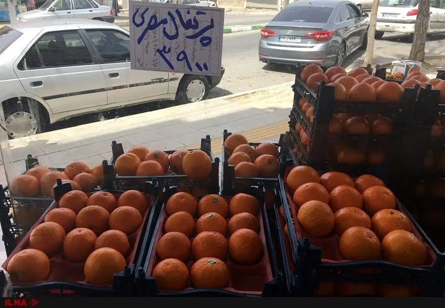 تغییر نام پرتقال ایرانی به پرتقال مصری برای گران‌فروشی!