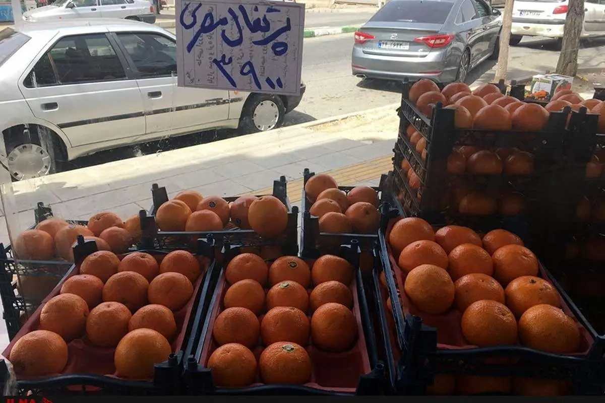 تغییر نام پرتقال ایرانی به پرتقال مصری برای گرانفروشی!