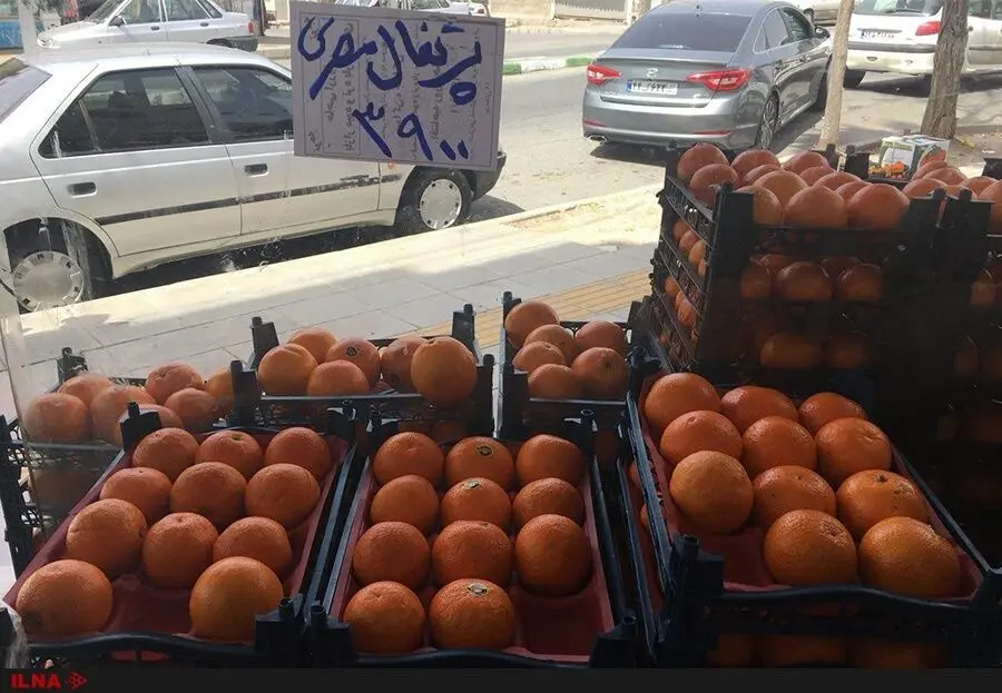 تغییر نام پرتقال ایرانی به پرتقال مصری برای گران‌فروشی!