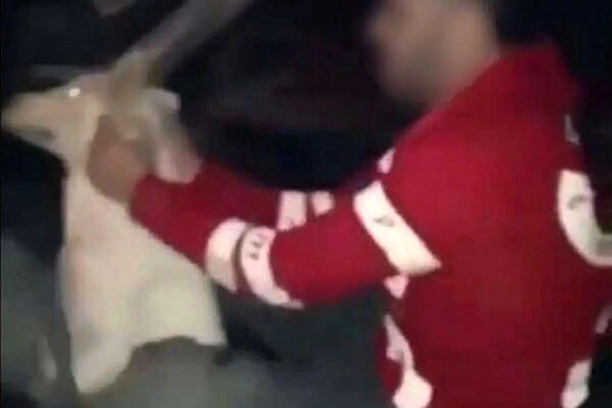 بازداشت فرد سگ آزار در خوزستان