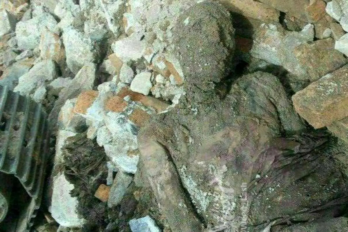 موضع دولت درباره مومیایی منتسب به رضاشاه