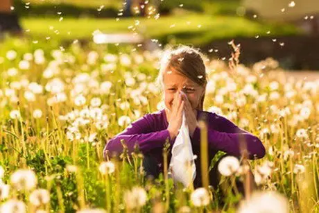 رابطه آلرژی و تغذیه در فصل بهار