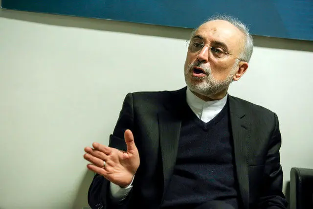 صالحی: امیدوارم آمریکا سر عقل بیاید