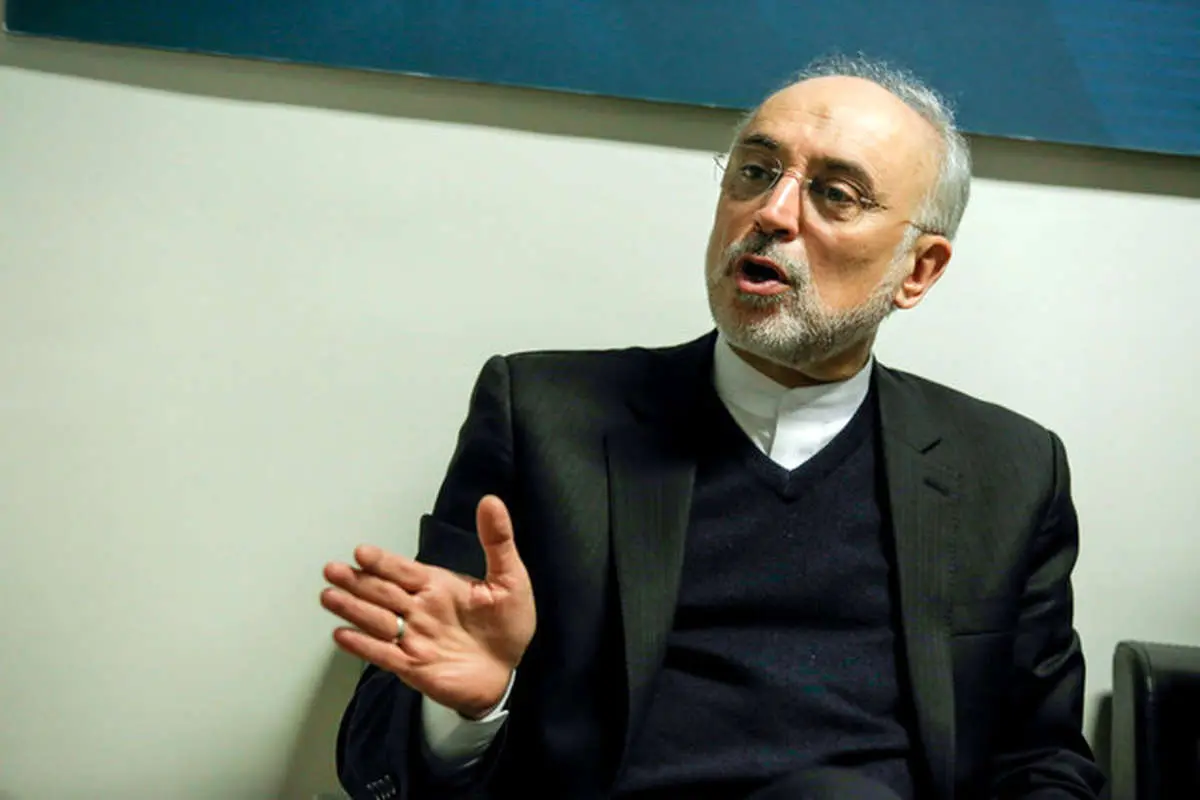 صالحی: امیدوارم آمریکا سر عقل بیاید