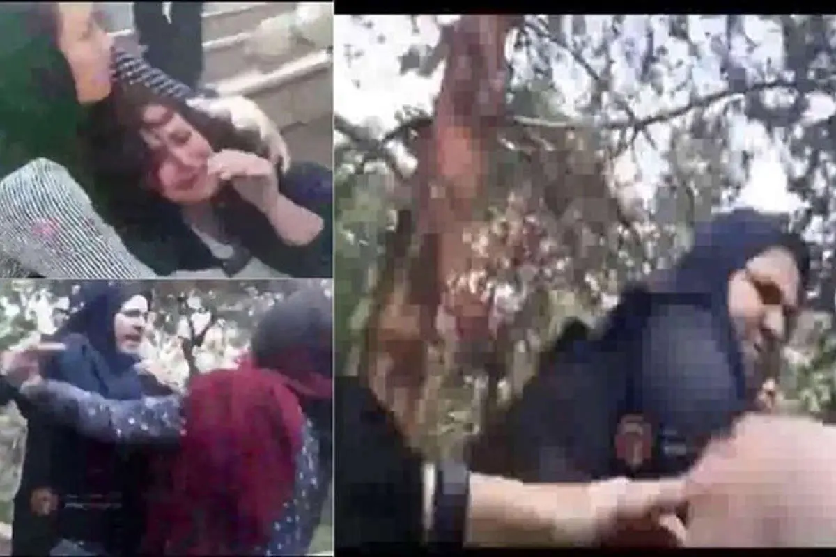 متهم نیز حق دارد